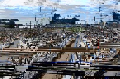 ERH or TCH, That Is the Question – Similarities and Differences and How to Choose